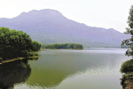 Mang làng mình đi khắp nẻo