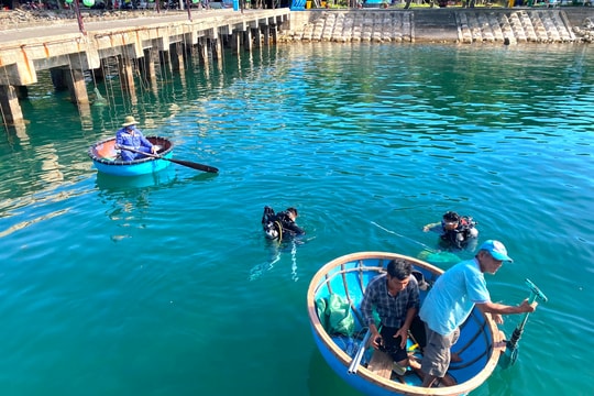 Thu gom rác và sao biển gai bảo vệ rạn san hô Cù Lao Chàm