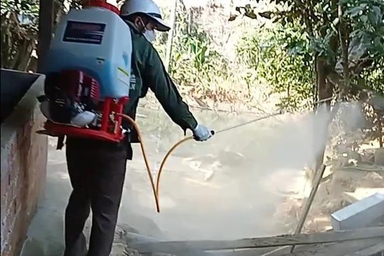 Bệnh dịch tả lợn Châu Phi xuất hiện tại xã vùng cao Trà Ka