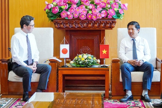 Quang Nam Party Secretary receives newly- accredited Consul General of Japan