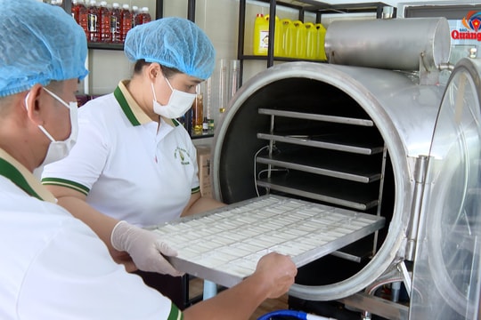 Sáng tạo với sữa chua sấy thăng hoa