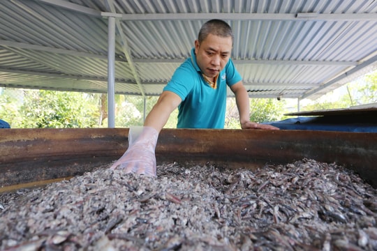 Áp dụng công nghệ để sản xuất nước mắm truyền thống