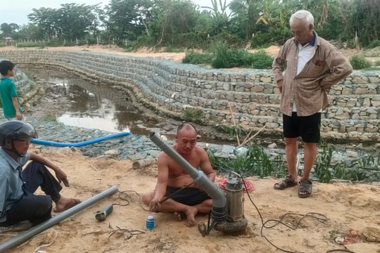 Nguồn nước tưới bị nhiễm mặn gây ảnh hưởng lúa hè thu