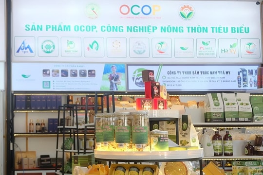 Kiện toàn Hội đồng bình chọn sản phẩm công nghiệp nông thôn tiêu biểu tỉnh Quảng Nam