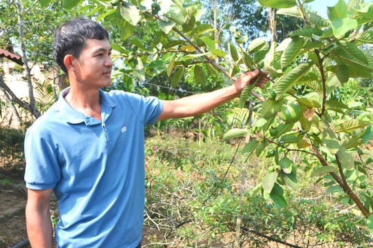 Học và làm theo Bác ở Đông Giang: Lan tỏa vào đời sống