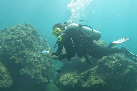 More conservation expectations for Cham Islands waters