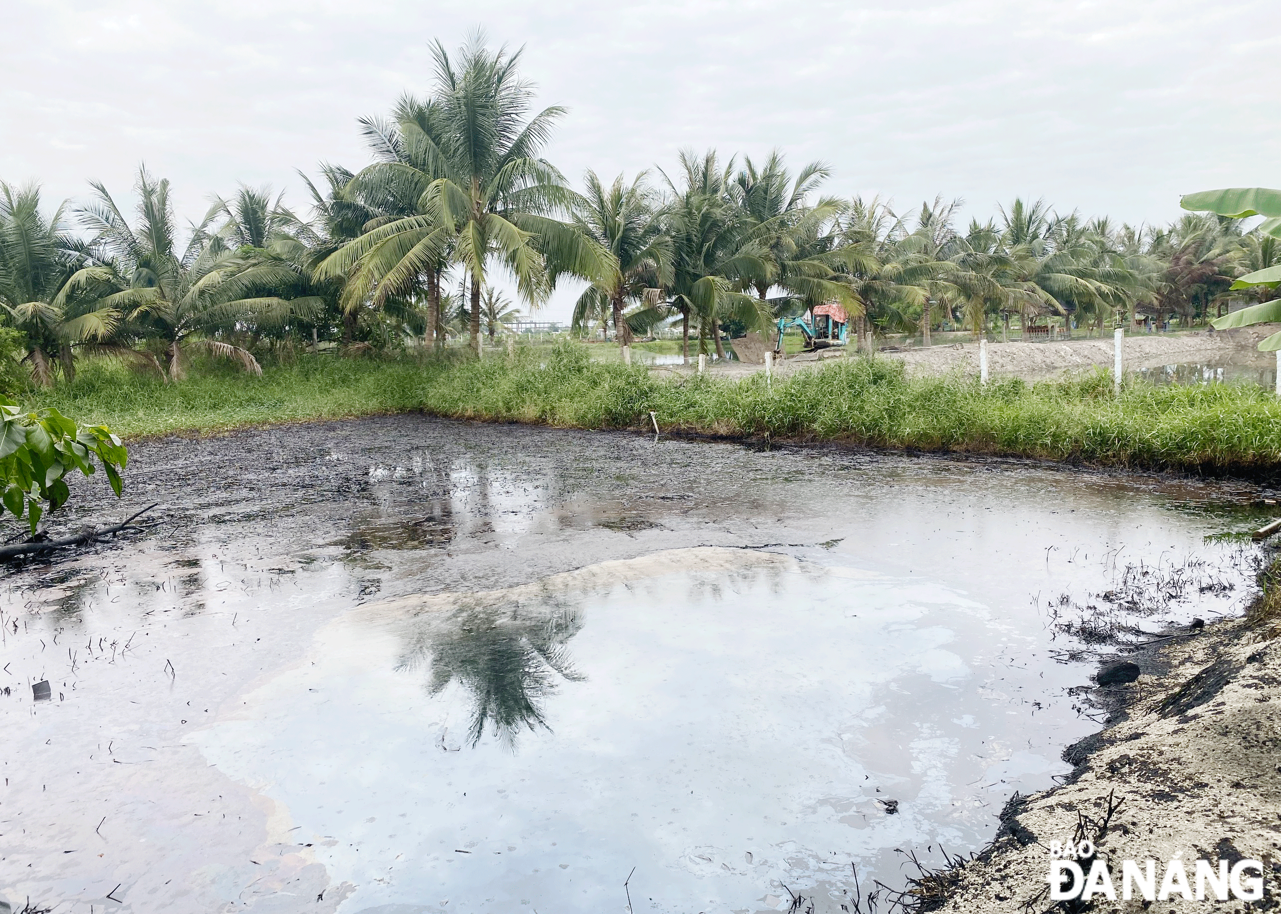 Kho chứa dầu xả thải gây ô nhiễm môi trường