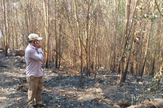 Đại Lộc tăng cường phòng cháy chữa cháy rừng