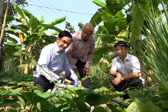 Tạo dựng những vườn cây trái xanh tươi nhờ Nghị quyết 35