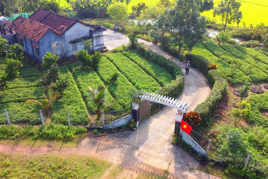 Quảng Nam tổ chức Cuộc thi ‘‘vườn - tường - đường đẹp’’ năm 2025