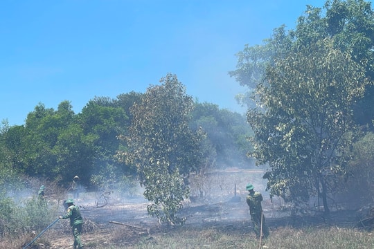 450 hộ dân Thăng Bình ký cam kết phòng cháy chữa cháy rừng
