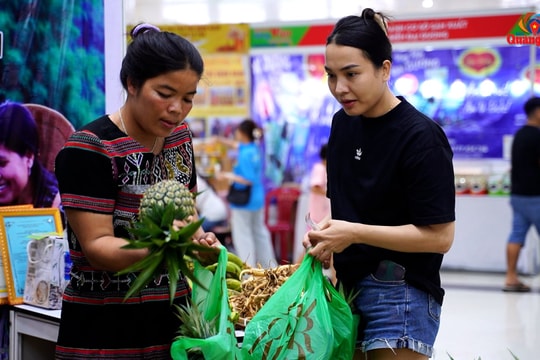 Mang rau sạch rừng xanh xuống phố