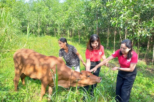 Gần 600 triệu đồng hỗ trợ nạn nhân da cam, người khuyết tật ở Quế Sơn