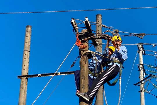 Kết nối doanh nghiệp Hàn Quốc đầu tư vào ngành năng lượng Quảng Nam