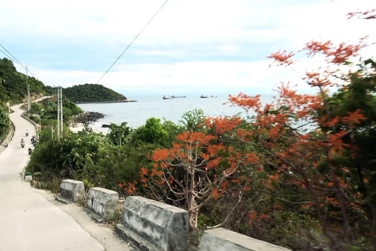 Sáng kiến phục hồi tài nguyên ở Cù Lao Chàm