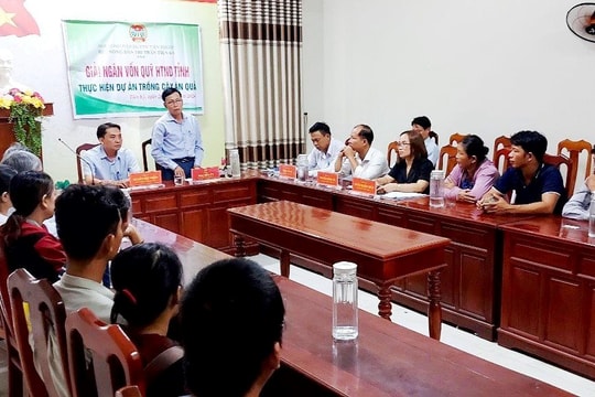 Giải ngân 700 triệu đồng cho nông dân thị trấn Tiên Kỳ vay trồng cây ăn quả