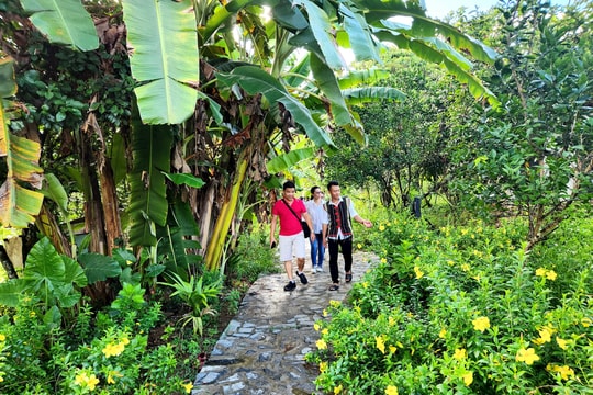 Cần có định khung, kế hoạch phát triển Làng du lịch cộng đồng Cao Sơn, huyện Bắc Trà My