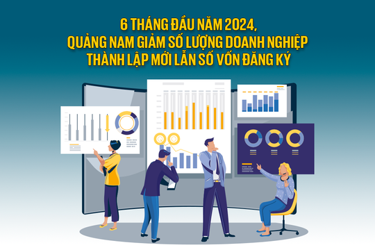 6 tháng đầu năm 2024, Quảng Nam giảm số lượng doanh nghiệp thành lập mới lẫn số vốn đăng ký