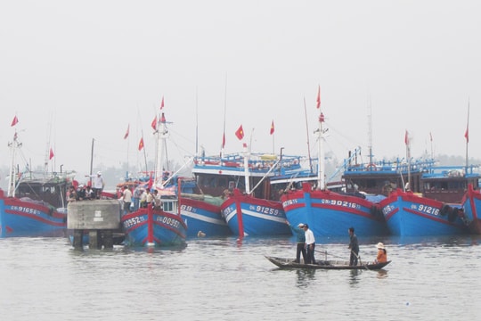 6 tháng đầu năm, ngư dân Núi Thành khai thác 33.125 tấn hải sản, đạt 72,01% kế hoạch năm