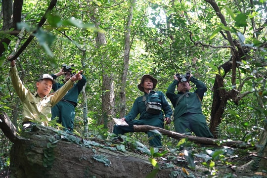 Chung tay bảo vệ động vật hoang dã