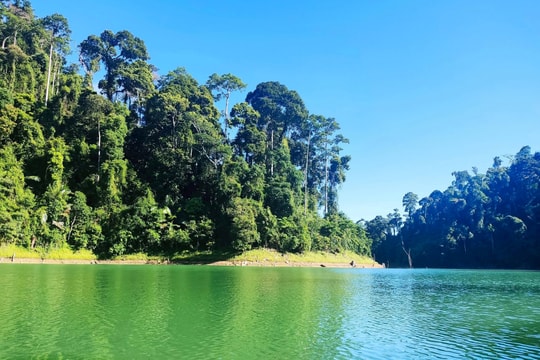 Nam Giang tăng cường quản lý, bảo vệ động vật hoang dã