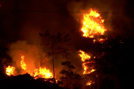 Nam Giang triển khai các biện pháp cấp bách phòng cháy, chữa cháy rừng