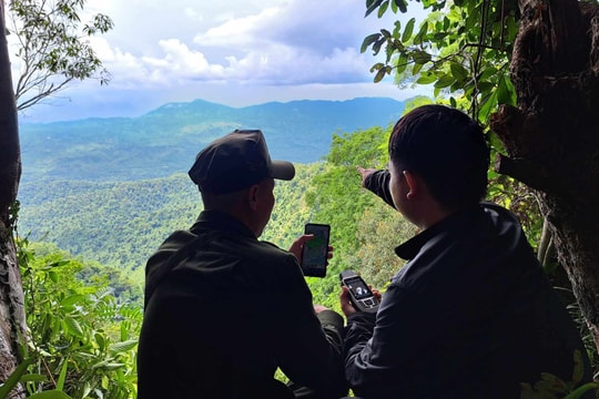 Cần sớm thúc đẩy kinh doanh tín chỉ các bon rừng