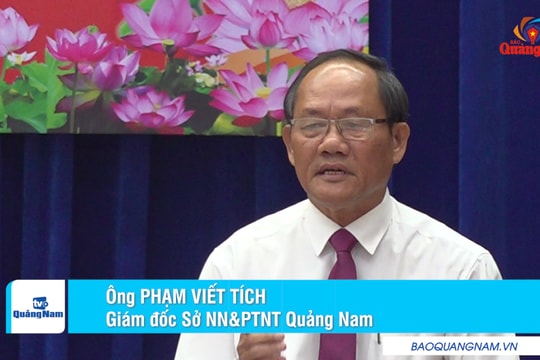 Giám đốc Sở NN&PTNT Quảng Nam Phạm Viết Tích: Khó duy trì và nâng cao tiêu chí xây dựng nông thôn mới ở miền núi