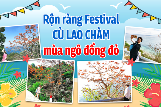 Rộn ràng Festival Cù Lao Chàm mùa ngô đồng đỏ
