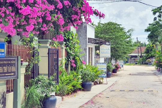 Phụ nữ Bình Đào vì môi trường xanh