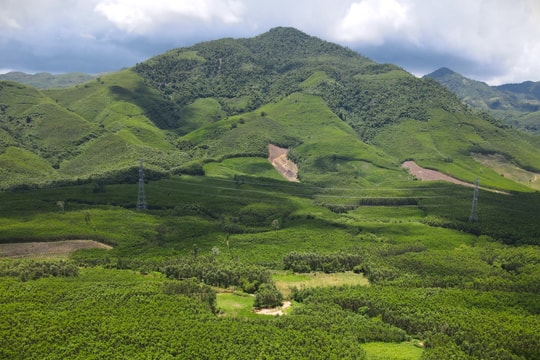 Chia sẻ kinh nghiệm về giữ rừng và phát triển thị trường các bon