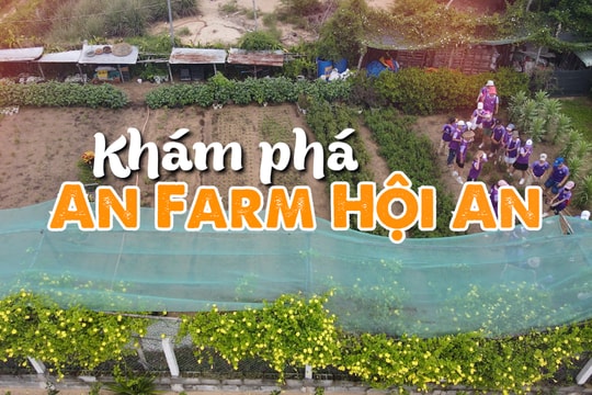 Khám phá An Farm Hội An
