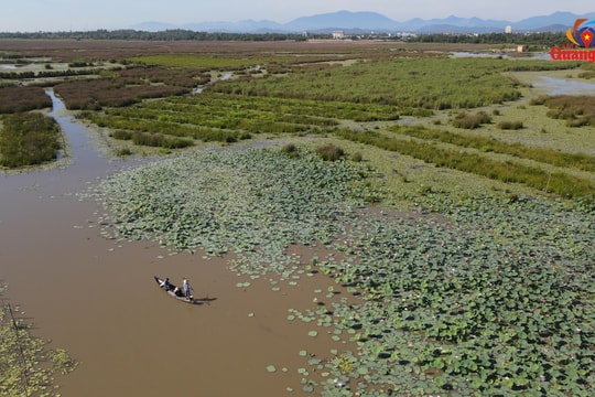 Nỗ lực bảo tồn, phát triển đa dạng sinh học hệ sinh thái đất ngập nước Sông Đầm