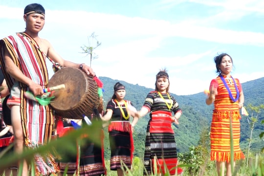 Người Xê Đăng tổ chức lễ cúng thần sâm Ngọc Linh