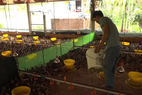 Phát triển kinh tế vườn - kinh tế trạng trại ở miền núi Tam Thạnh