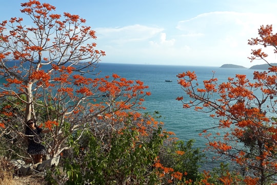 Phát huy nghề di sản đặc trưng ở Cù Lao Chàm