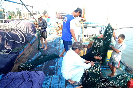 Hội An còn 74 tàu cá “3 không”