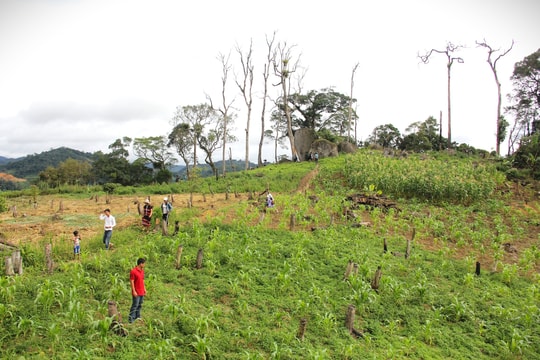 Lập hồ sơ xây dựng cơ sở dữ liệu đất đai cho các xã biên giới Quảng Nam