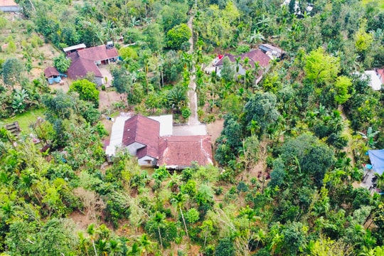 Đề xuất phân bổ hơn 10,8 tỷ đồng cho dự án vùng nguyên liệu trái cây ở Tiên Phước