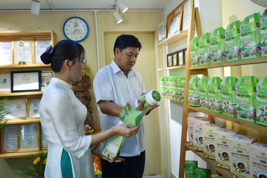 Bí thư Tỉnh ủy Lương Nguyễn Minh Triết kiểm tra mô hình kinh tế hợp tác tại Duy Xuyên