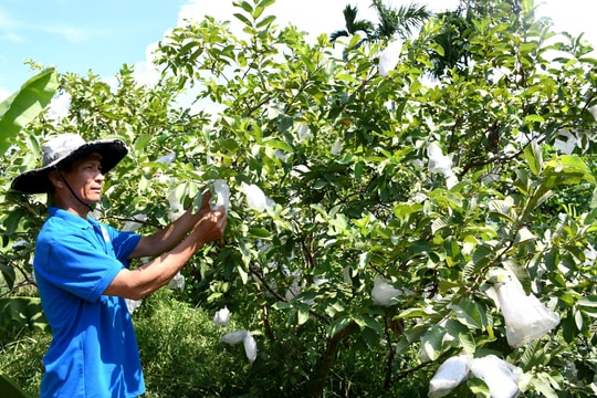 Cuộc thi viết “Tín dụng chính sách xã hội - Ý Đảng, lòng Dân” sẽ nhận tác phẩm đến ngày 31/10