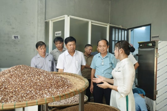 Tạo mọi điều kiện cho kinh tế hợp tác ở Quảng Nam phát triển