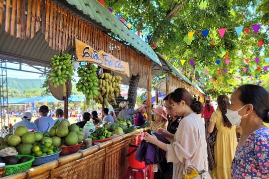 Từ ngày 23 - 25/8 diễn ra Lễ hội văn hóa du lịch Đại Bình năm 2024