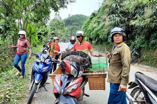 Dấu ấn phong trào nông dân Đông Giang
