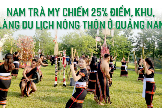 Nam Trà My chiếm 25% điểm, khu, làng du lịch nông thôn ở Quảng Nam