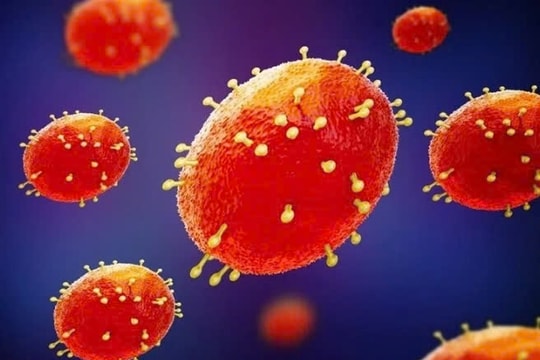 Bộ Y tế yêu cầu tăng cường giám sát cửa khẩu ngăn dịch đậu mùa khỉ