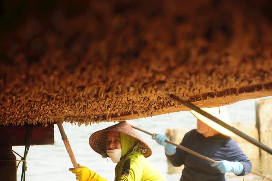 Theo chân "ngư dân trên cạn"