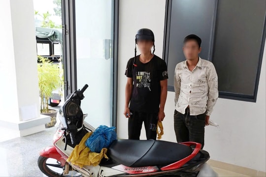 Bắt quả tang hai đối tượng trộm cau