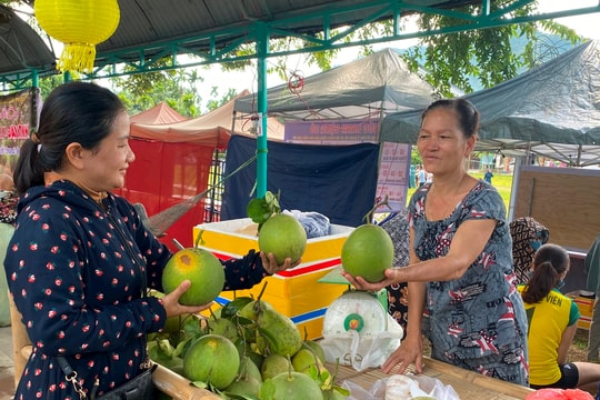 Sôi nổi Lễ hội văn hóa du lịch Đại Bình năm 2024.