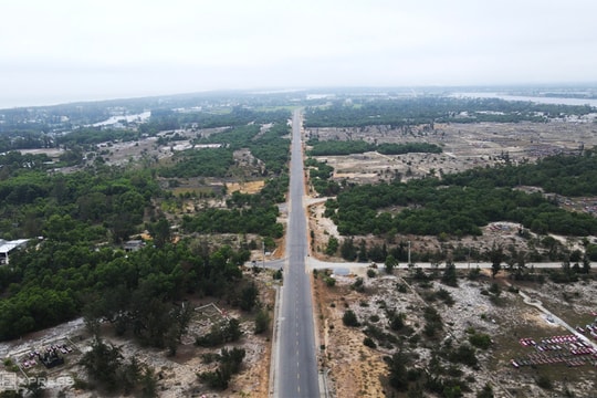 Quảng Nam chuyển mục đích sử dụng 8,47ha rừng trồng phòng hộ để làm đường